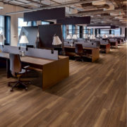 PolyFlor-Warm-Ash-Vinyl