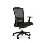 solace-mesh-exec-chair-mid-arms