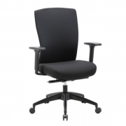 Mentor_ii_upholstered_with_arms_black_nylon