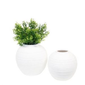 Website 1