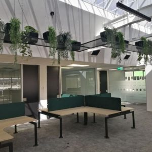 Plants and planters