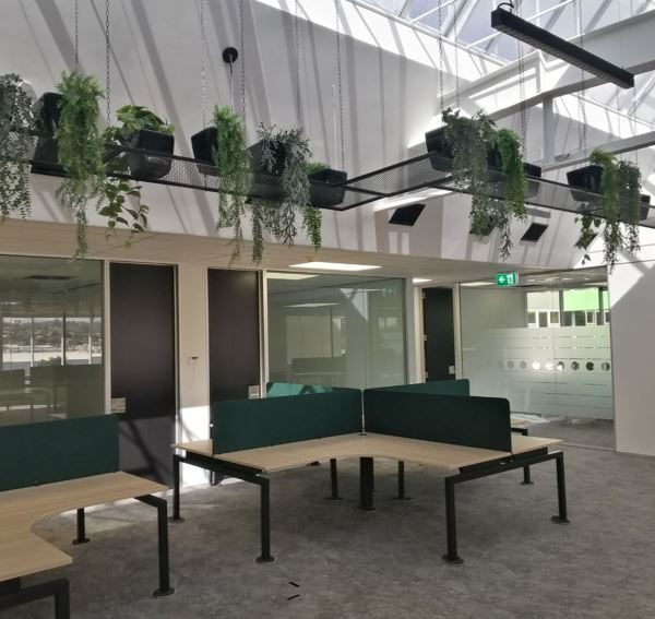 Plants and planters