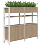 Website 3