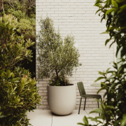 Atmos 1 - planter