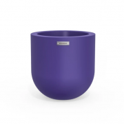 Lavender - planter