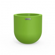 Lime - planter