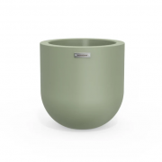 Moss - planter