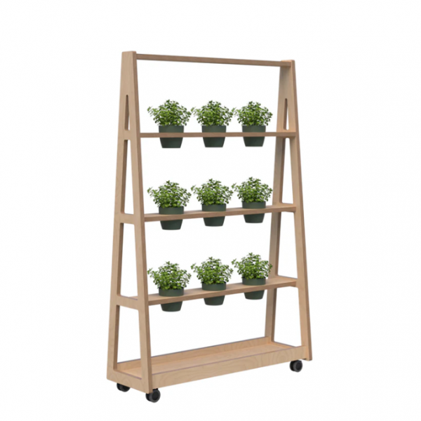 plant wall