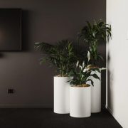 Atmos 2 - planter