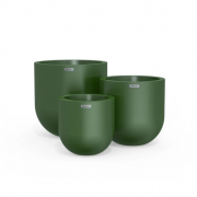 Cluster - forrest - planter