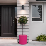 atmos 5- planter